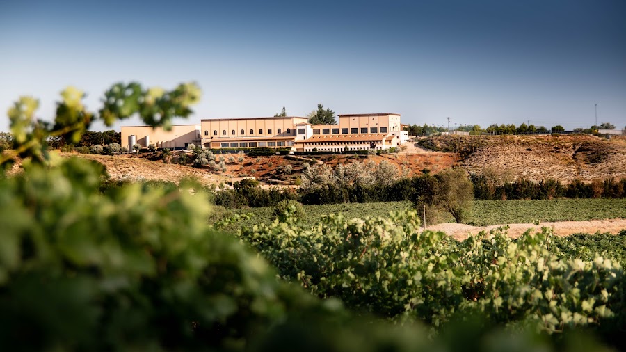 Restaurantes en Paredes provincia de Cuenca