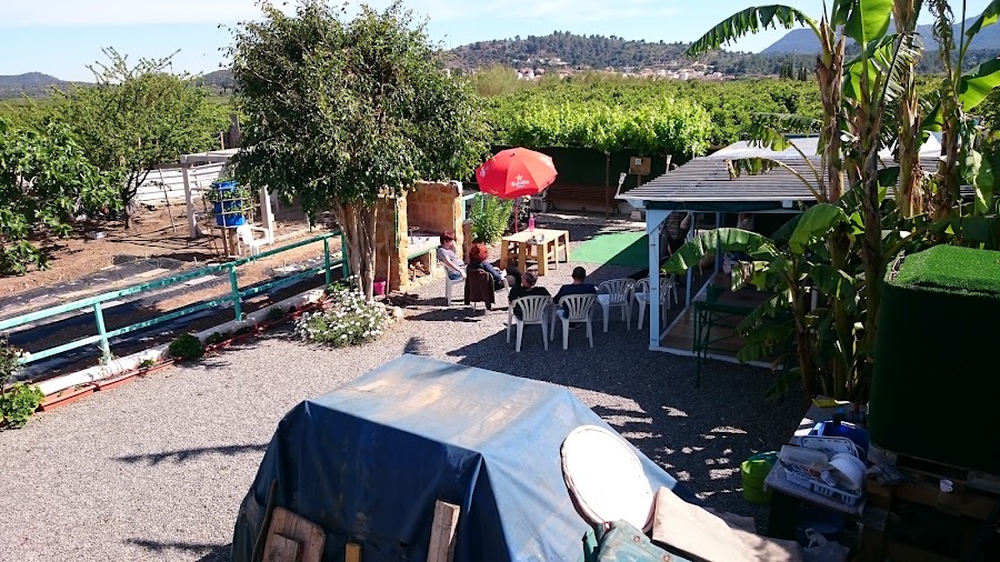 El Poderio. Algimia De Alfara