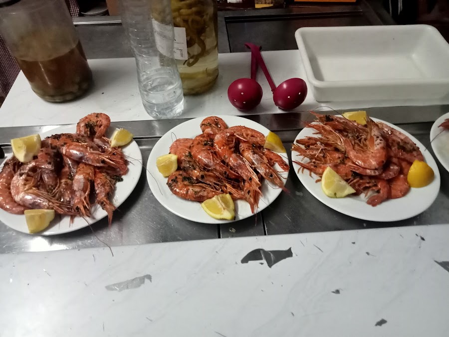 LA TABERNA CURSA