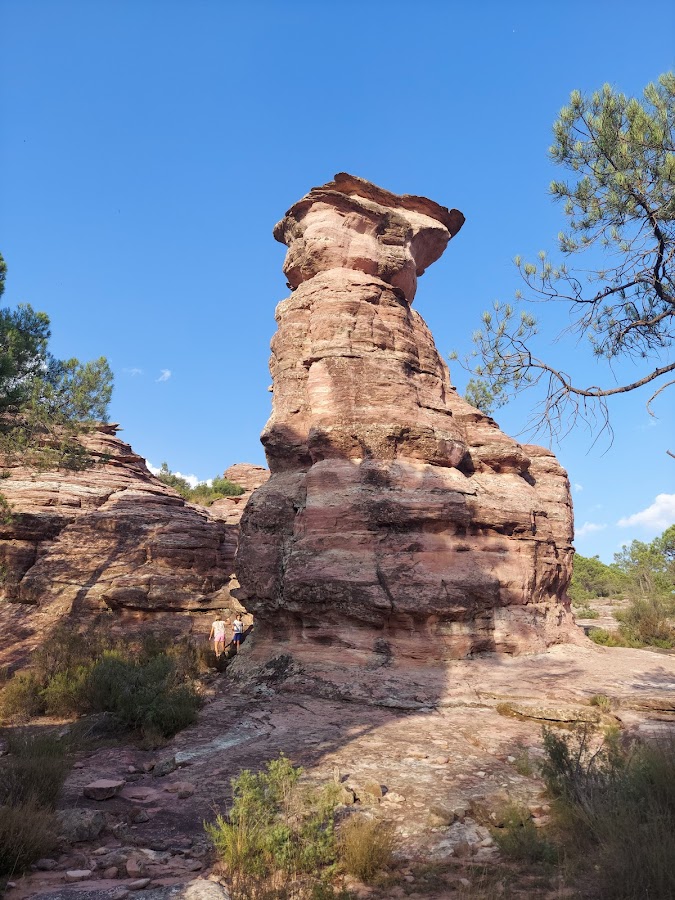 Las Corbeteras de Pajaroncillo