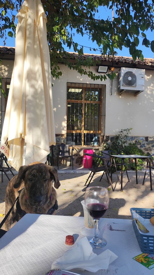Bar Las Moreras